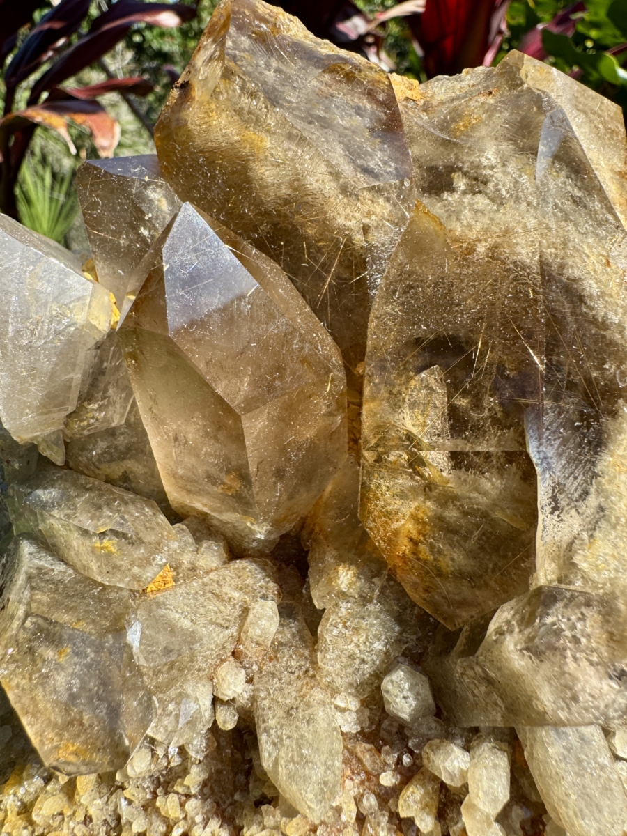 Golden Rutilated Quartz